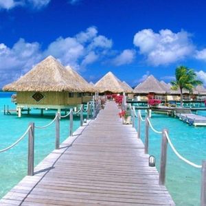 Meet your Posher, Allyshia